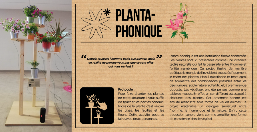 projet_plantaphonique-02.png
