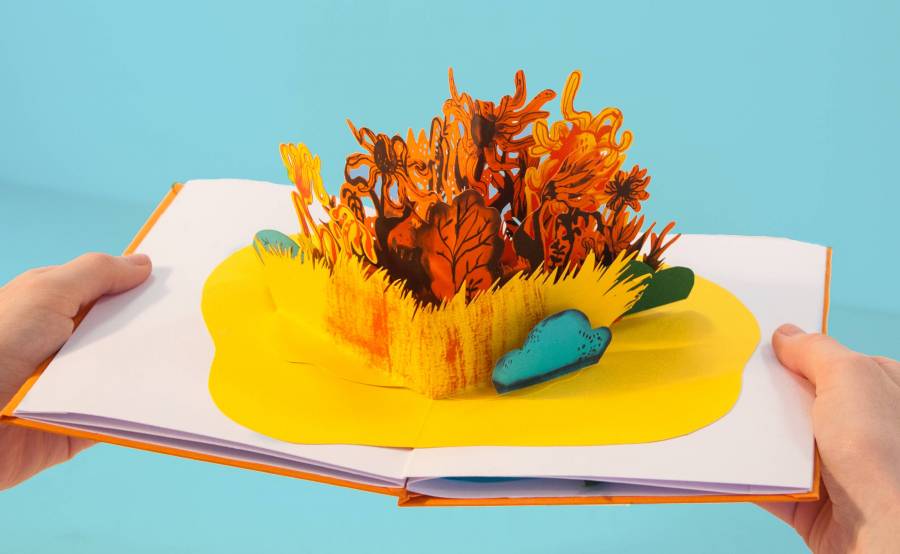 prariespopupbleu.jpg prariespopupbleu.jpg