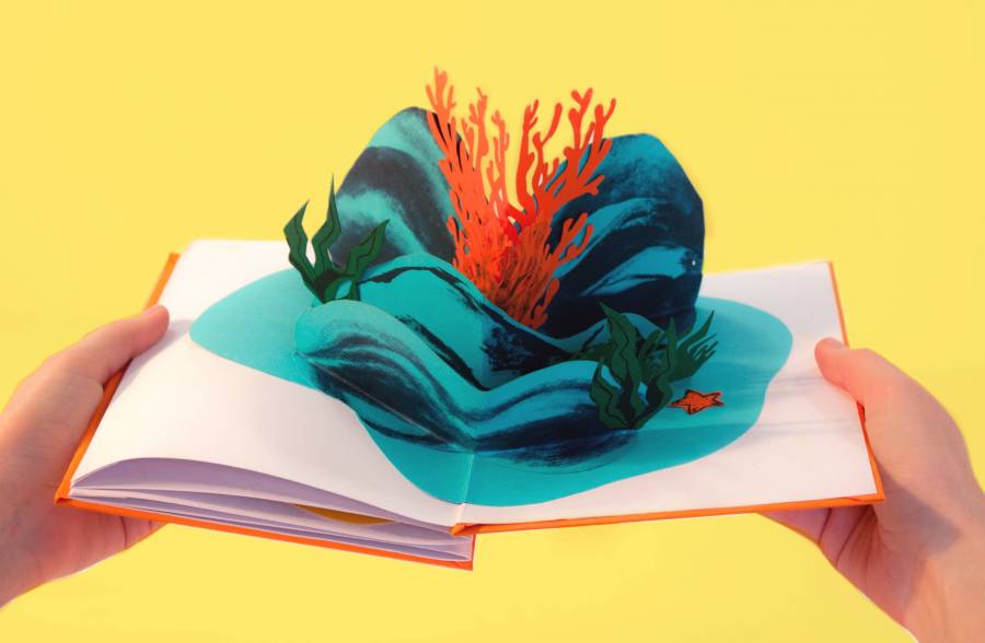 fondmarinpopupjaune.jpg fondmarinpopupjaune.jpg