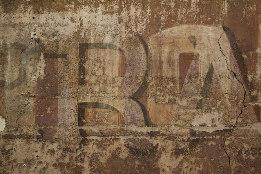 img_0981.jpg img_0981.jpg