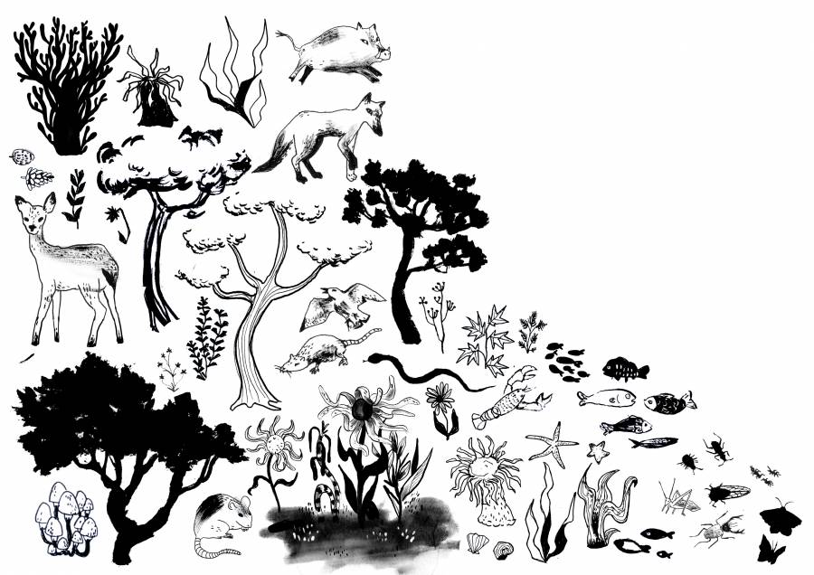 tout_le_repertoire.jpg tout_le_repertoire.jpg