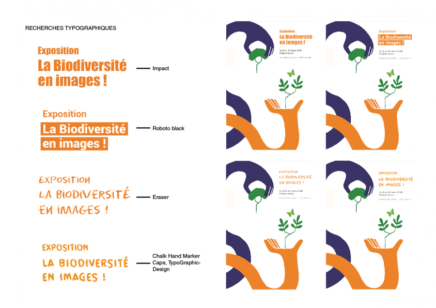identite_visuelle_developpement3.png identite_visuelle_developpement3.png