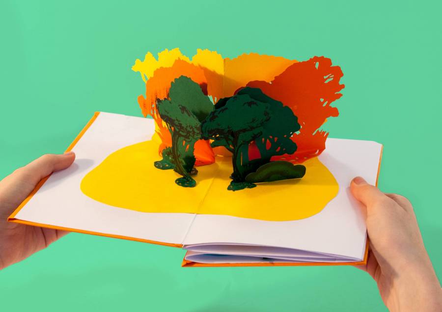 foretpopupvert.jpg foretpopupvert.jpg