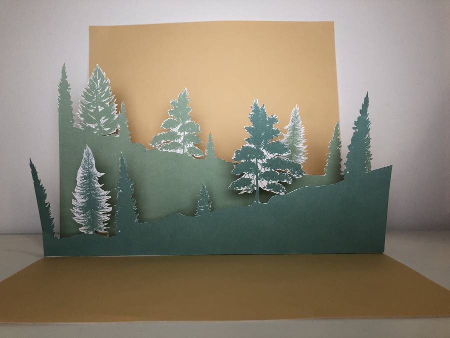 img_7705.jpg img_7705.jpg