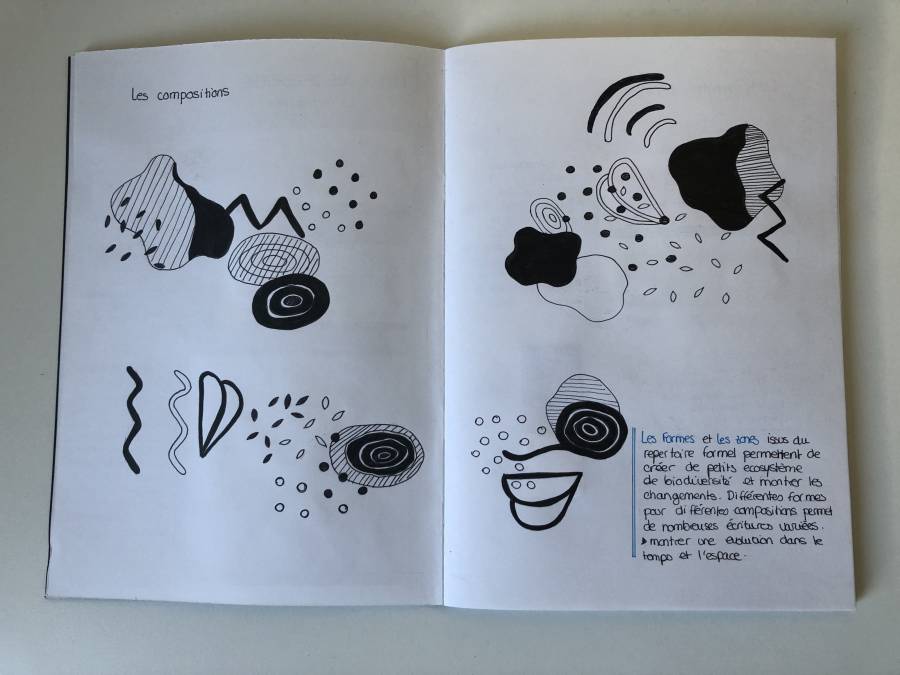 img_7810.jpg img_7810.jpg