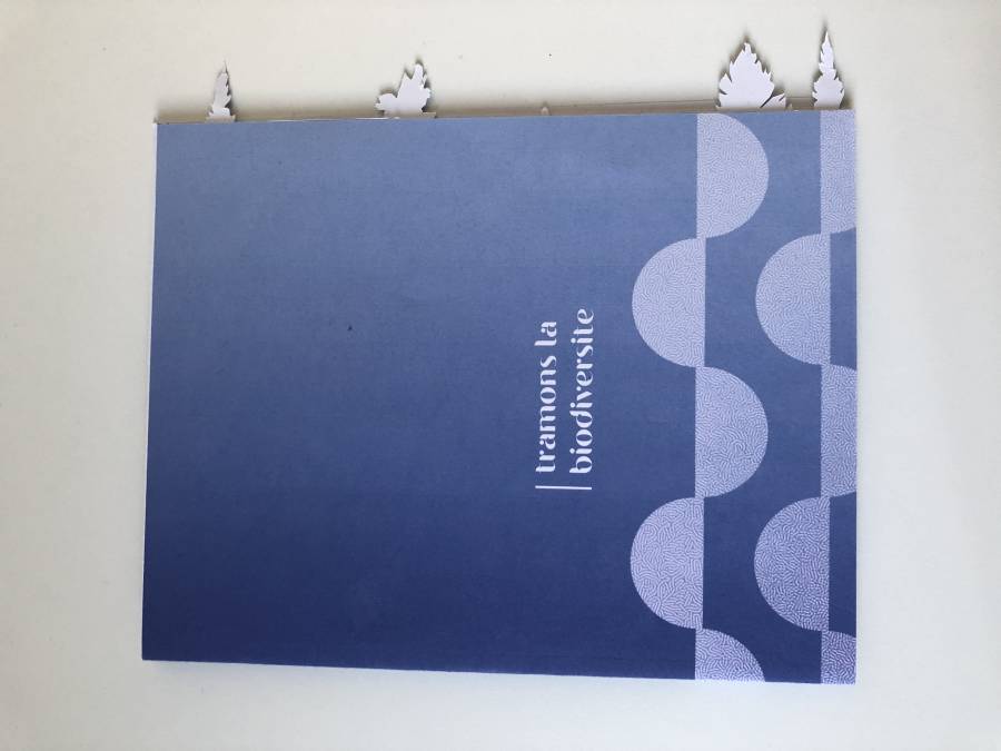 img_7949.jpg img_7949.jpg