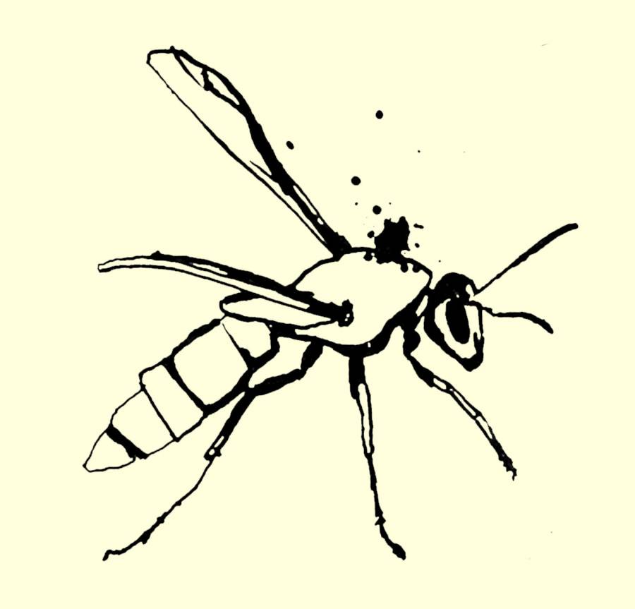 British Mineralogy: or coloured figures intended to elucidate the mineralogy of... British Mineralogy: or coloured figures intended to elucidate the mineralogy of...
